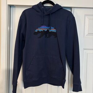 Patagonia Navy Hoodie